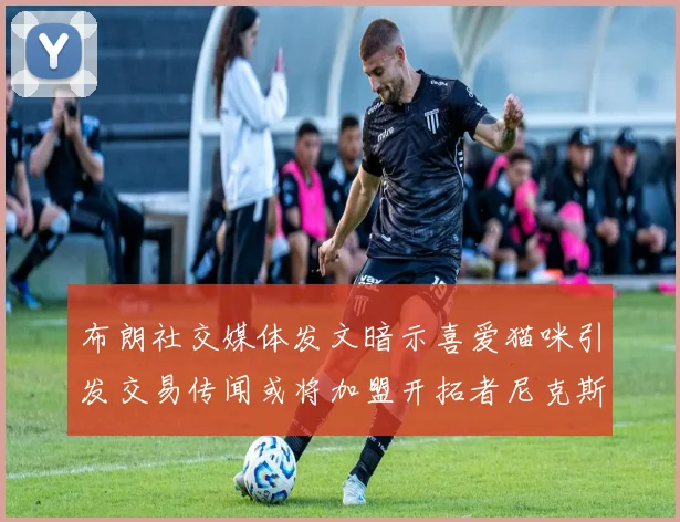 布朗社交媒体发文暗示喜爱猫咪引发交易传闻或将加盟开拓者尼克斯雷霆湖人