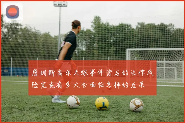 詹姆斯高尔夫球事件背后的法律风险究竟有多大会面临怎样的后果